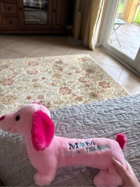Puppy Claire’s mom plush